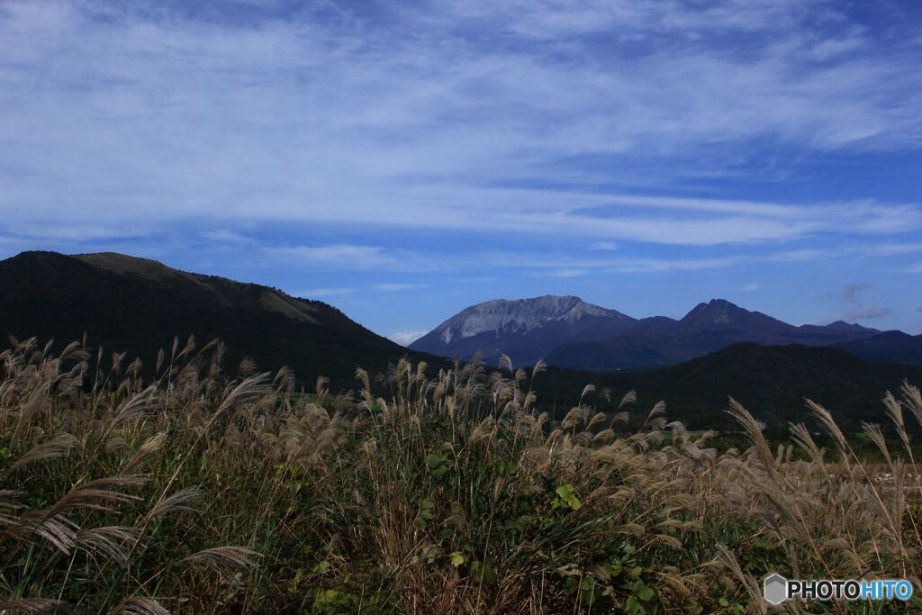 シリーズ大山　その２　すすきと大山