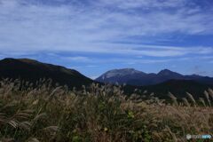 シリーズ大山　その２　すすきと大山