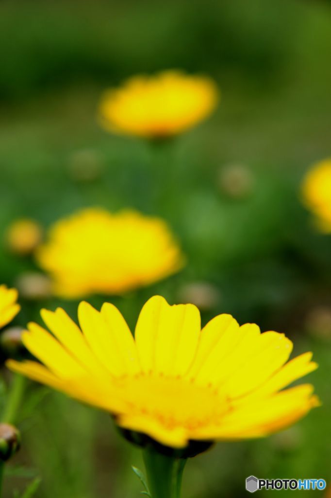 そして季節が変わった