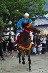 神馬走る（２）