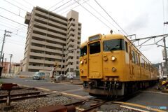 115系　D-17編成　踏切通過