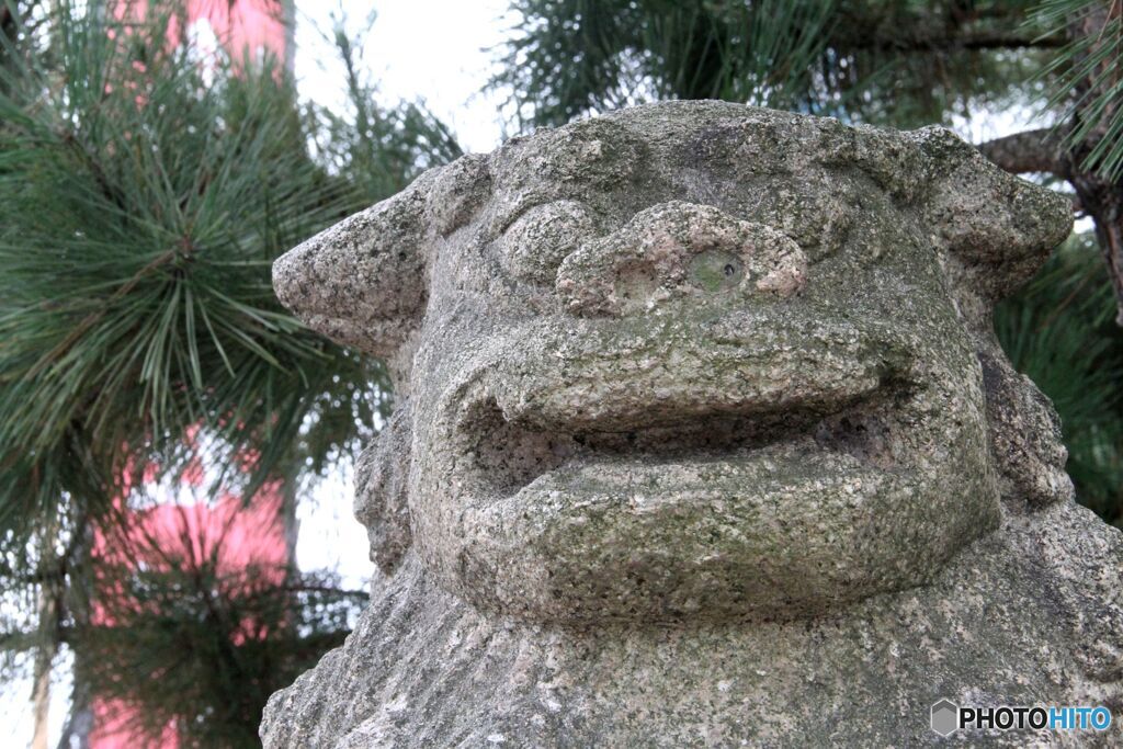 愛嬌のある顔　神島神社.1
