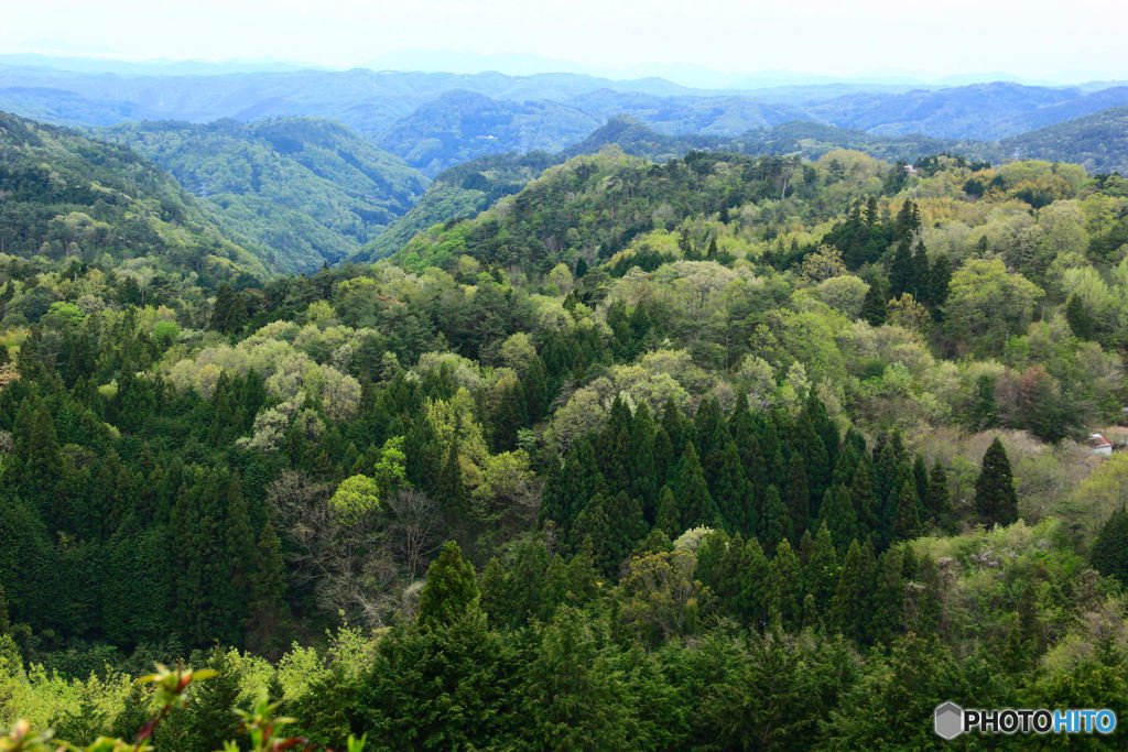 新緑の山々