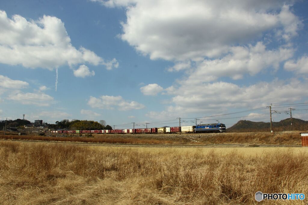 貨物列車が行く