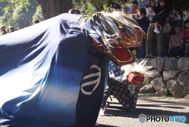 古い写真から 親子獅子.