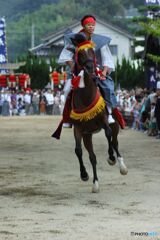 神馬走る