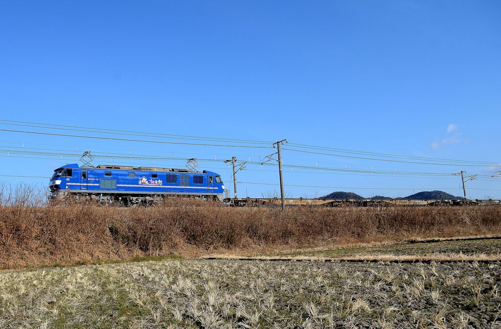 下り　貨物　EF２１０－１２　牽引