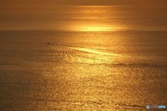 蔵出し　金色に輝く海