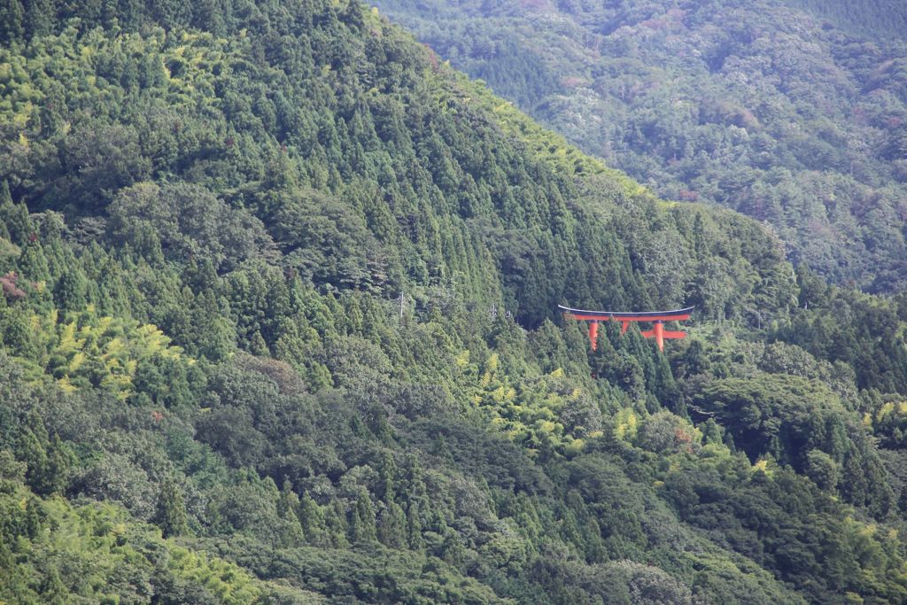 山の中の鳥居