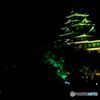 ライトアップの岡山城