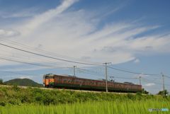 出会いはいつも偶然　　115系　湘南色