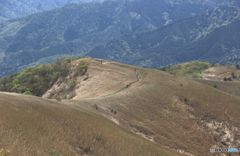 雲居平登山道を振り返る