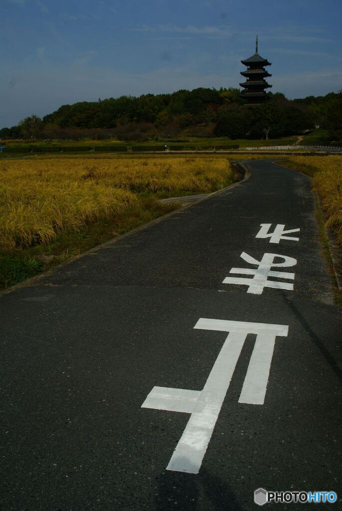 塔に続く道