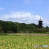 吉備の初秋