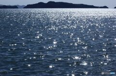 午後の光る海