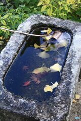足守　近水園の秋（５）