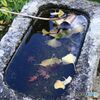 足守　近水園の秋（５）