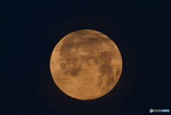 　ひと月前の写真から　　夜明けの満月
