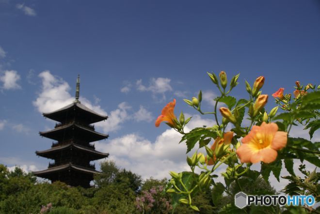 花と塔