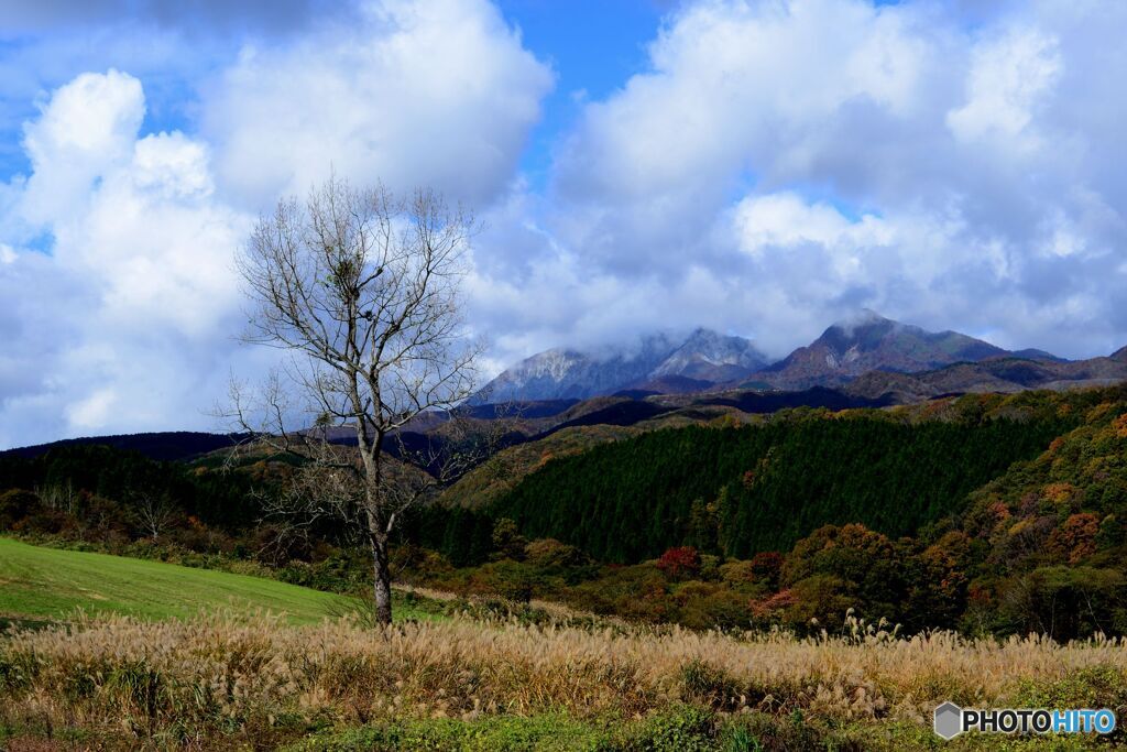 大山・烏ヶ山を望む