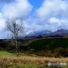 大山・烏ヶ山を望む