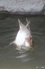 お尻丸出し