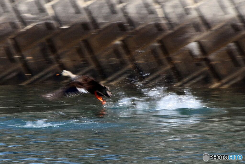それ、逃げろ！