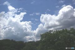 梅雨の合い間に見た雲は