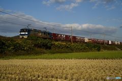 貨物列車　　EF210-128