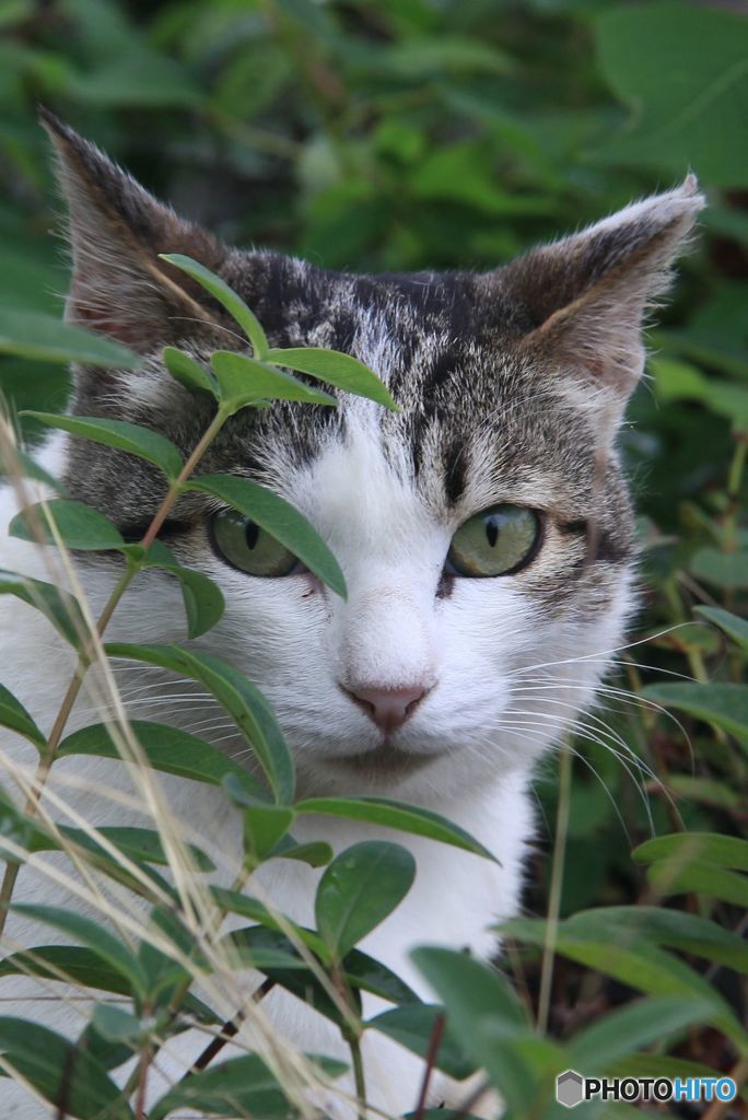 な、な、なに撮ってんだ