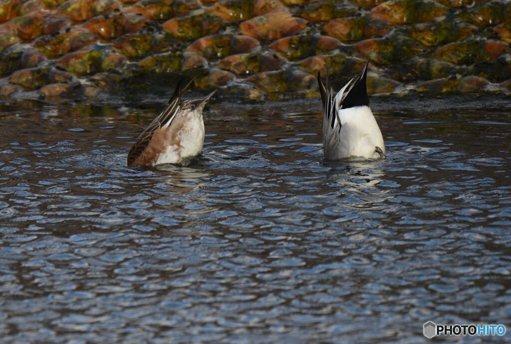 頭隠して・・・・