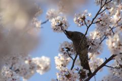 おいしいんだけど　体が・・・・・