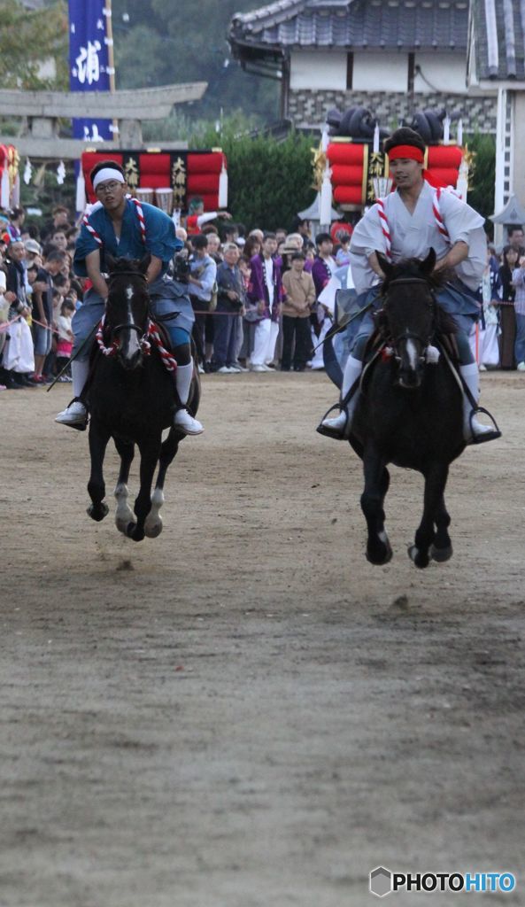 神社　秋の大祭　競馬神事