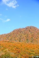 秋化粧の山