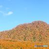 秋化粧の山