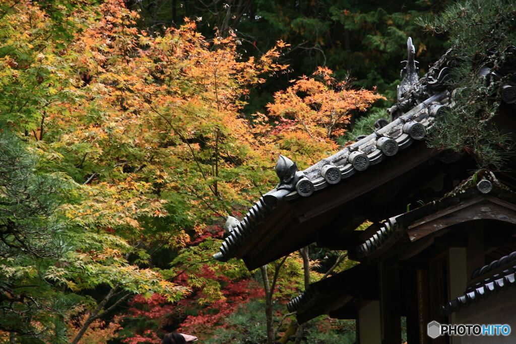 グラデーションと門屋根瓦