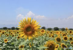 背　高いでしょ！