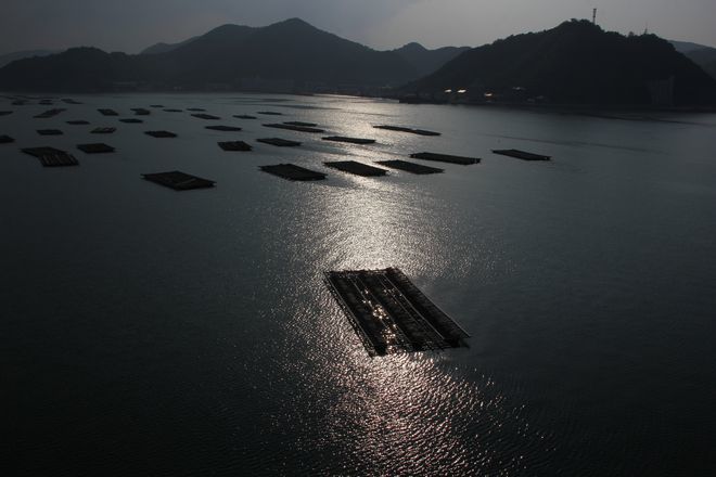 雲間からの光を受ける牡蠣いかだ