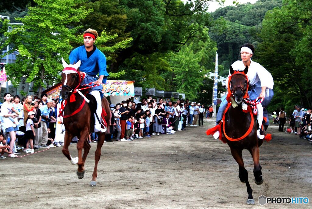 赤勝て白勝て