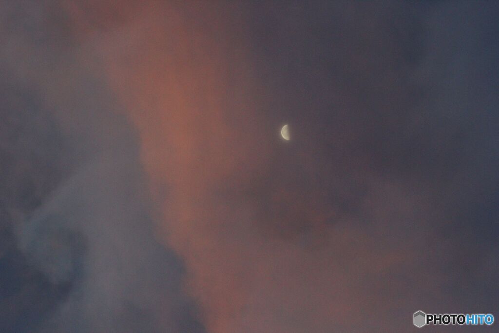 6月２９日の朝