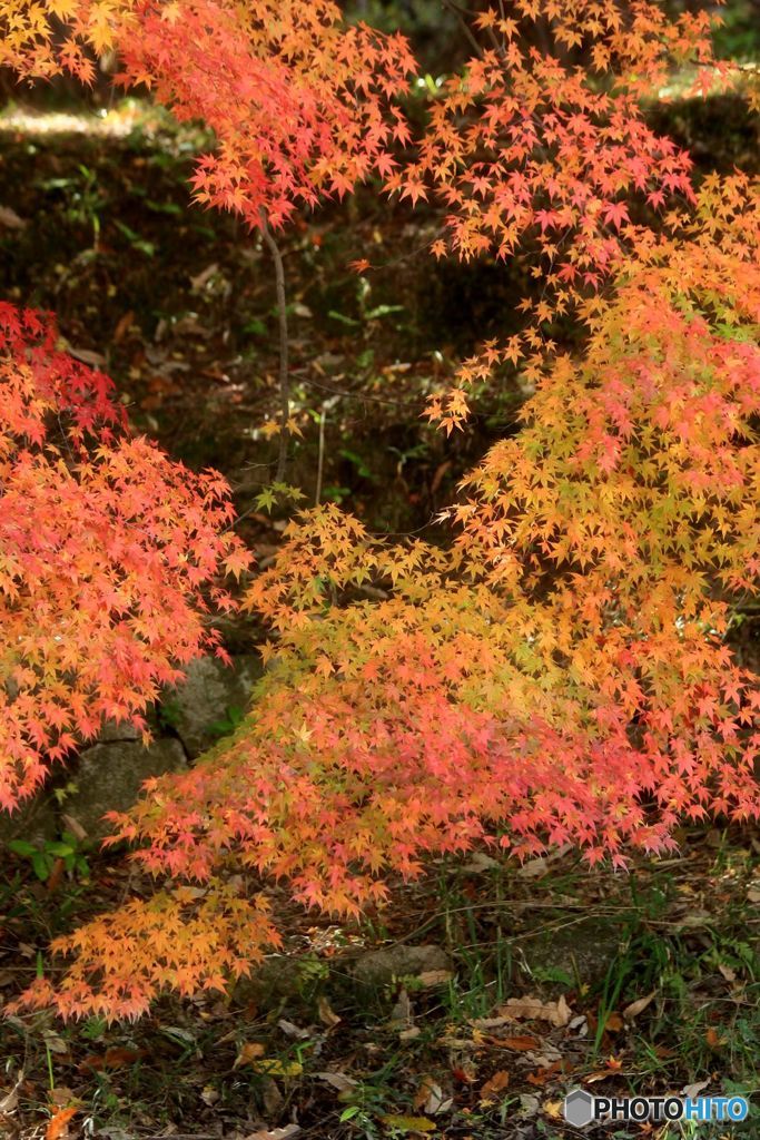 よく見るとグラデーション
