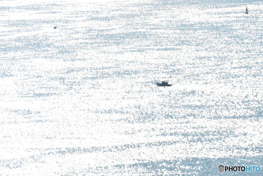 釣り船浮かぶきらめく海面