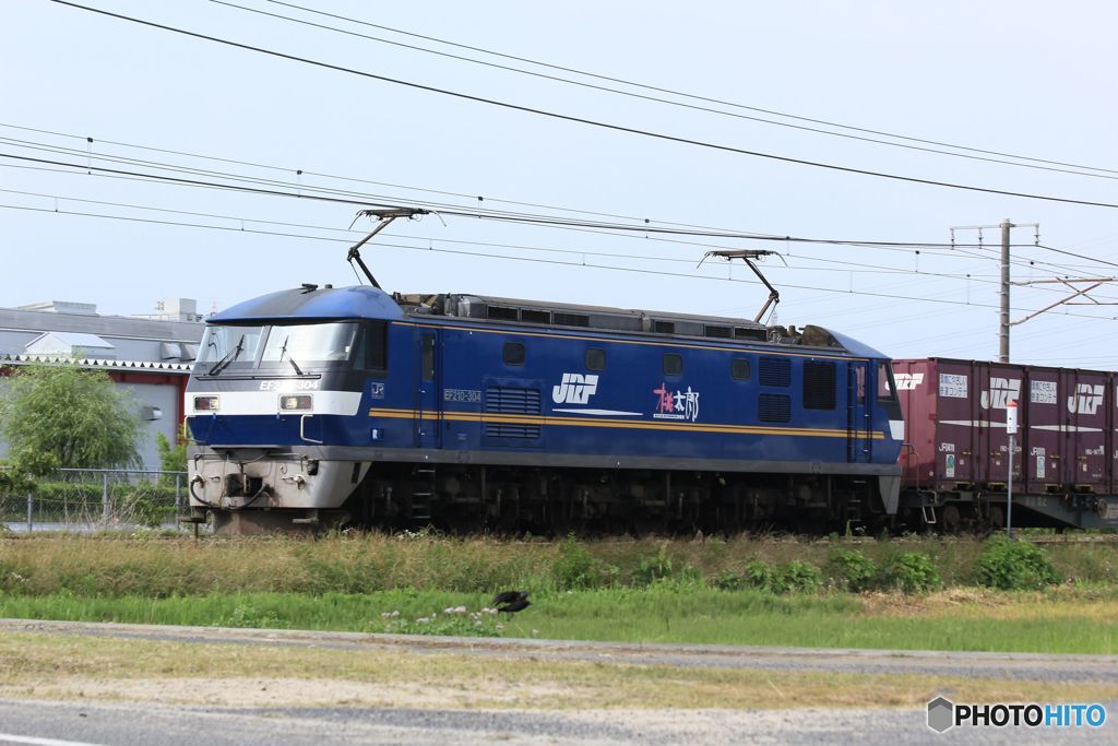 EF210-304