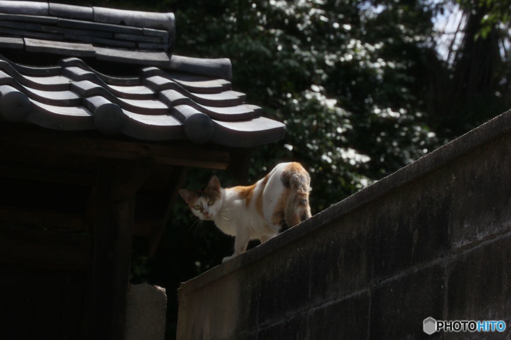 なんか文句あっか～
