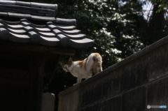 なんか文句あっか～
