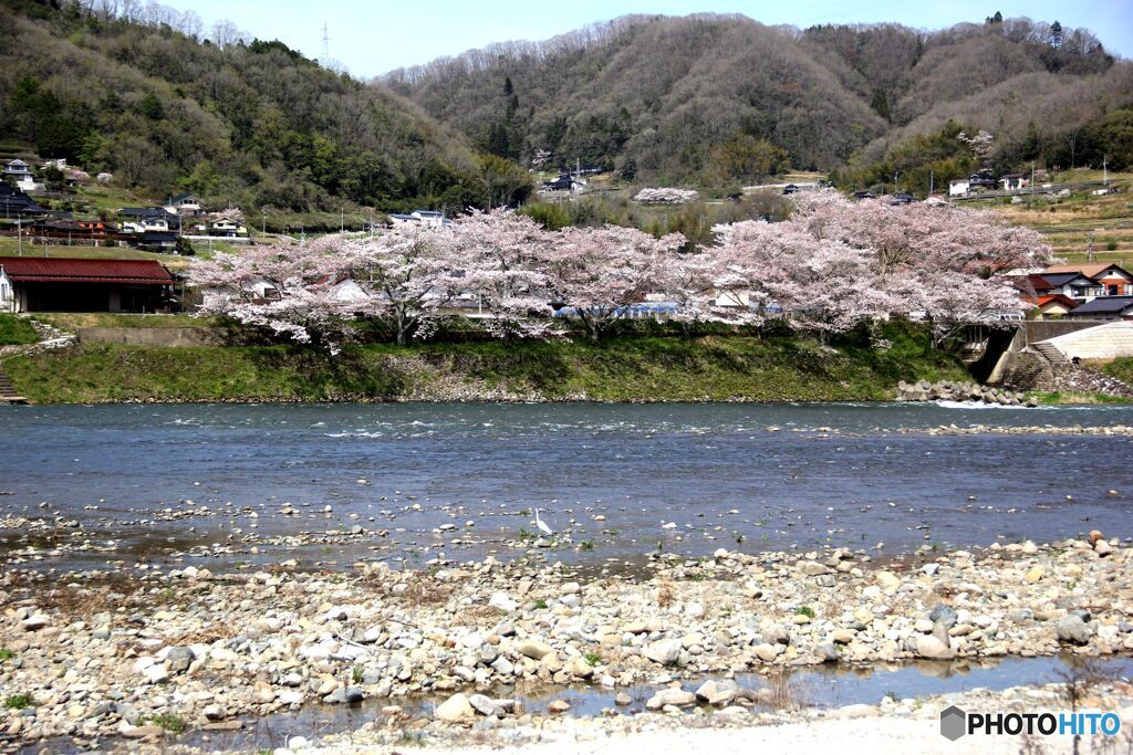 川の風景（１）