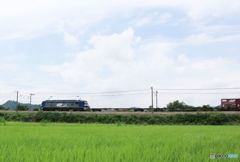 貨物列車