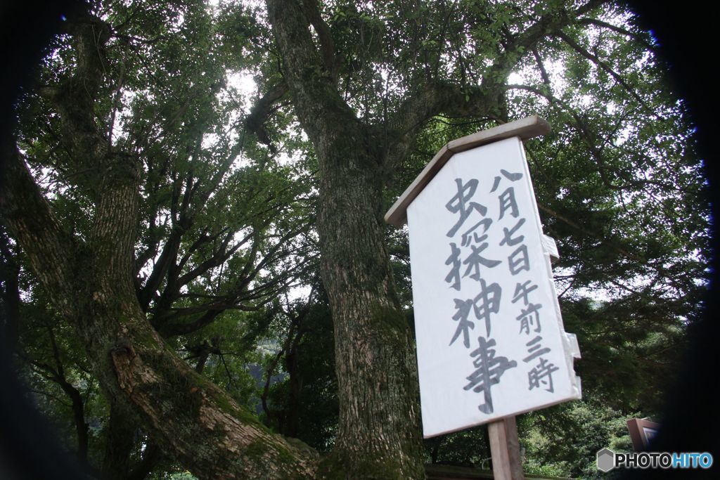 なんと読むでしょう　？