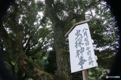 なんと読むでしょう　？