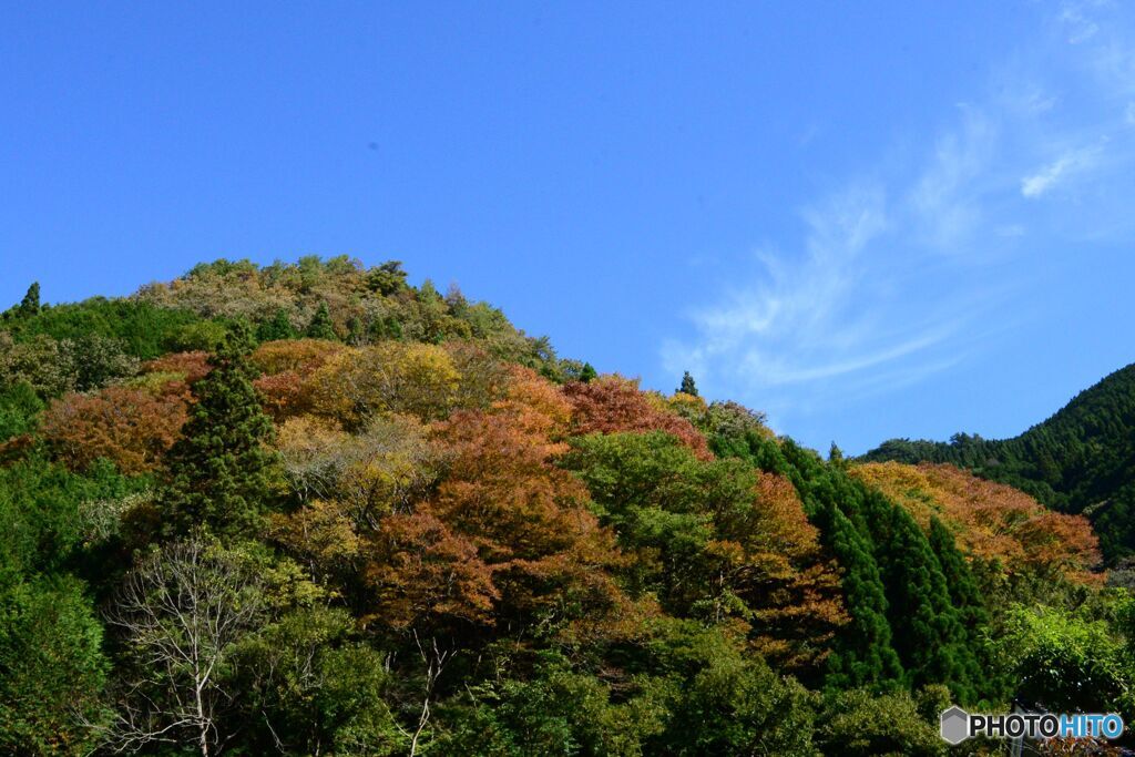 山の装い　美甘村